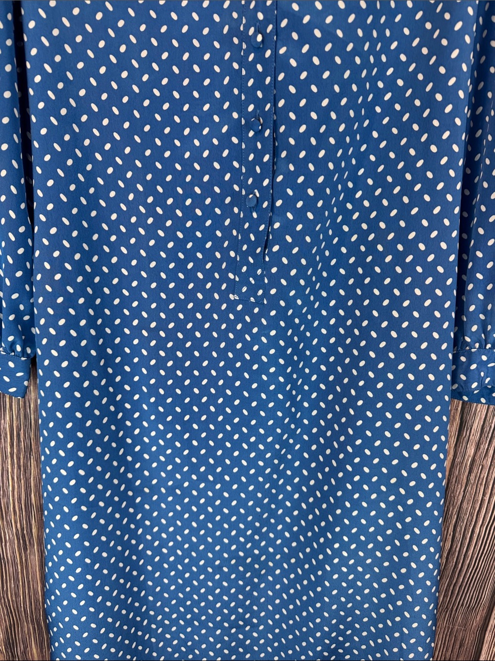Vintage Polka Dot Dress - Picture 4 of 7